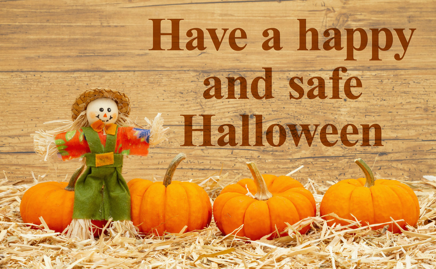 smiling scarecrow and pumpkins